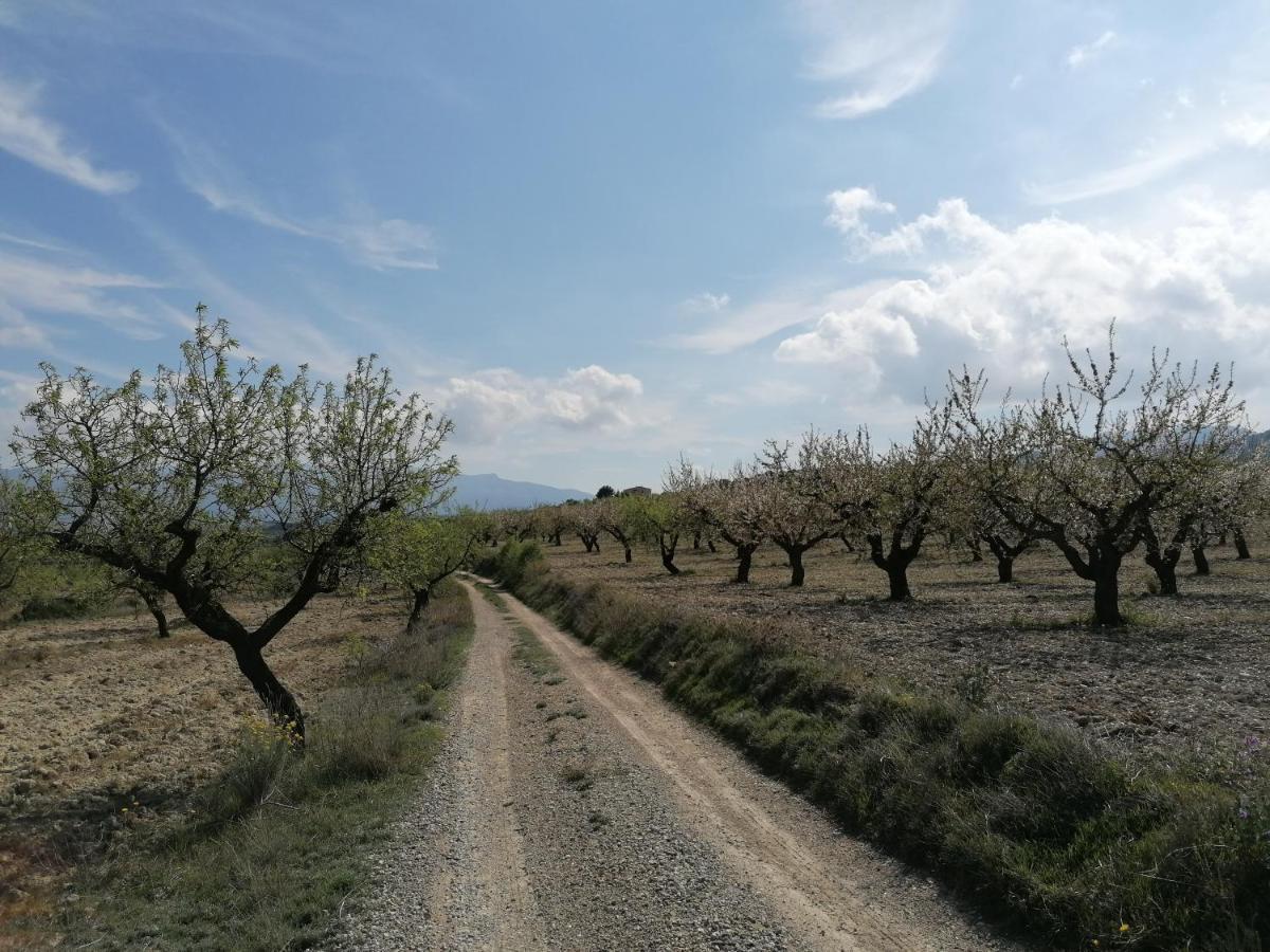 Habitaciones En Finca Olivo Y Almendro Ucenda Экстерьер фото